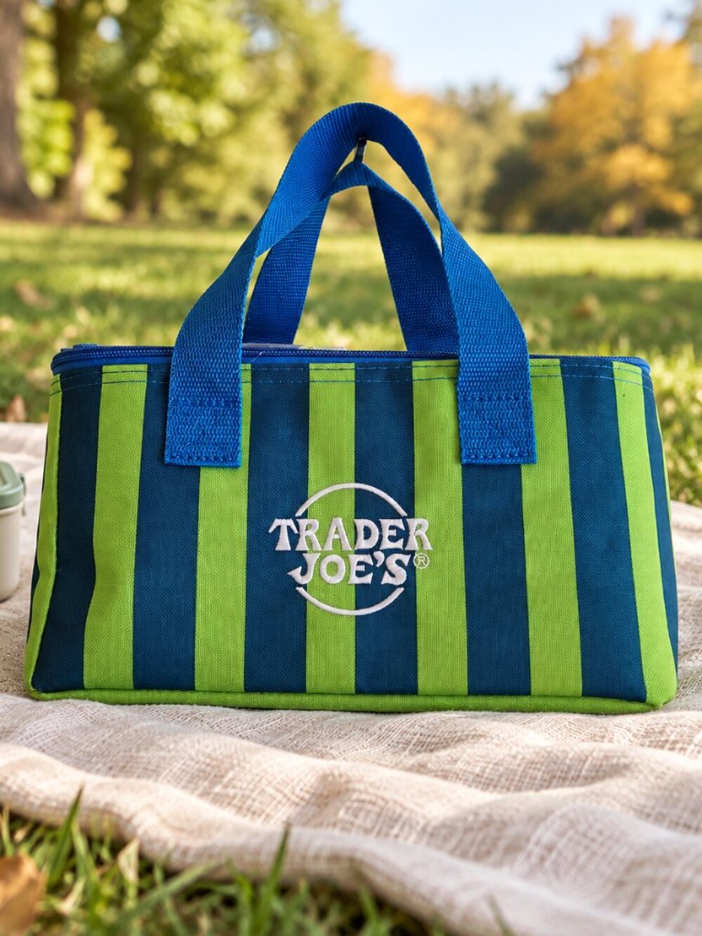 Trader Joe’s Blue Green Striped Mini Insulated Tote Lunch Cooler Bag NWT
